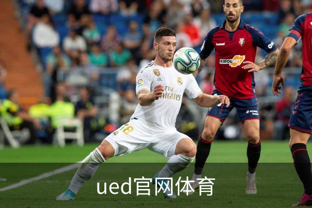 ued官网体育公司简介图片